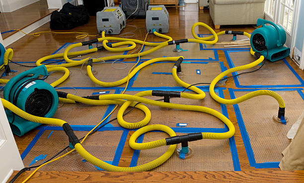 Professional Water Extraction technician working in Pacific, MO